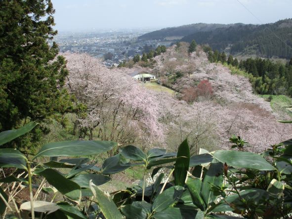 城ヶ山からの眺め